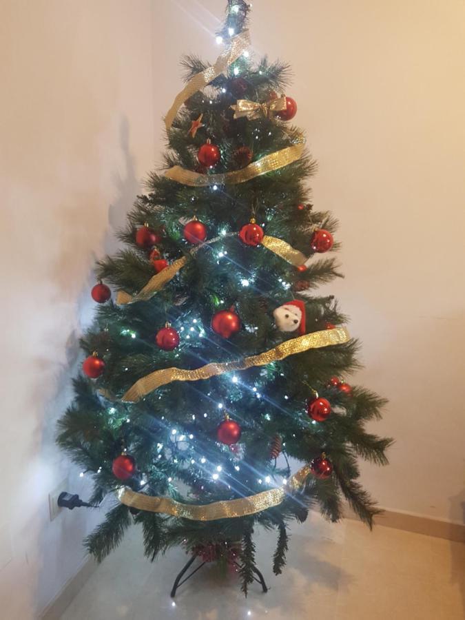 Apartamento Gloria 2 Malaga Ngoại thất bức ảnh